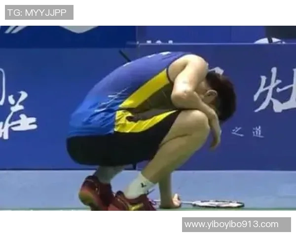 林丹与李东根2017年巅峰对决回顾与精彩瞬间分析