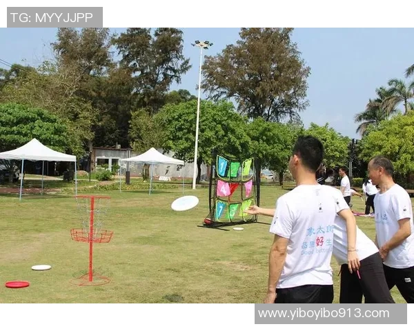 飞盘运动新风潮：深入探讨广州飞盘队员的个人技术与战术素养MBA