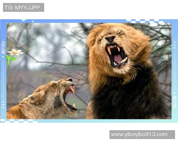 佛罗伦萨与卡利亚的激烈对决谁能笑到最后解析比赛关键因素 佛罗伦萨与卡利亚的激烈对决谁能笑到最后解析比赛关键因素