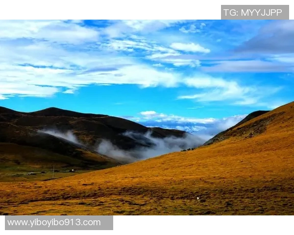 廖三宁:探索音乐与文化交融的旅程与心灵的共鸣 廖三宁:探索音乐与文化交融的旅程与心灵的共鸣
