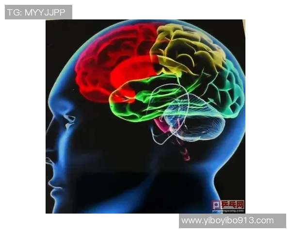 重庆乒乓球队整体压制战术解析与实战应用探讨