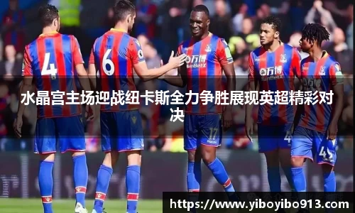 水晶宫主场迎战纽卡斯全力争胜展现英超精彩对决
