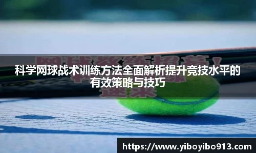 im电竞·电子竞技平台